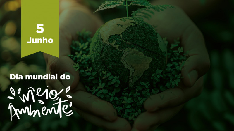 Dia Mundial do Meio Ambiente é comemorado em 5 de junho