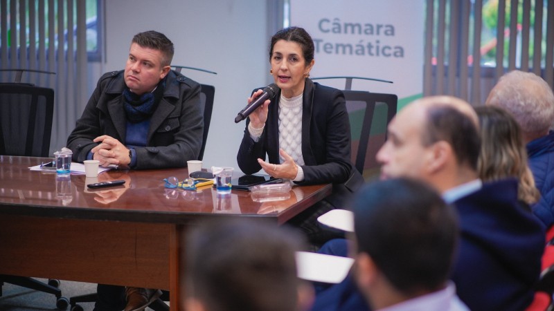Secretária Simone Stülp apresentou ações da Sict durante a reunião