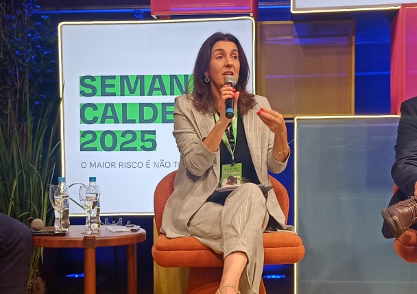 Ao centro da imagem, a secretária Simone Stülp durante participação no painel