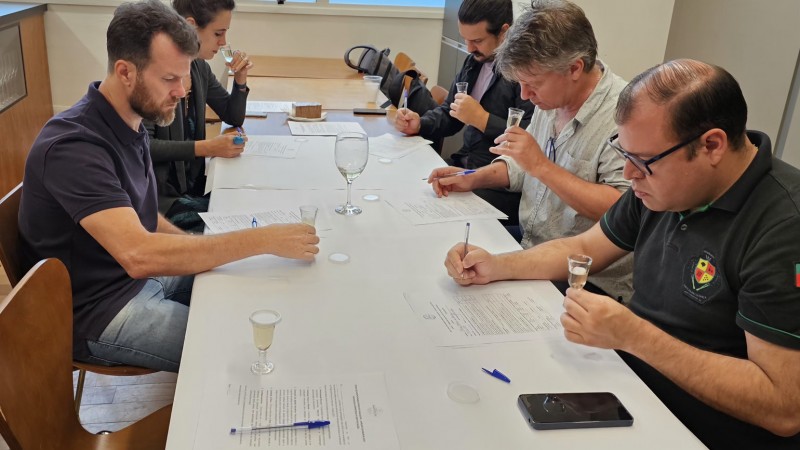 An&aacute;lise Cacha&ccedil;a Ga&uacute;cha